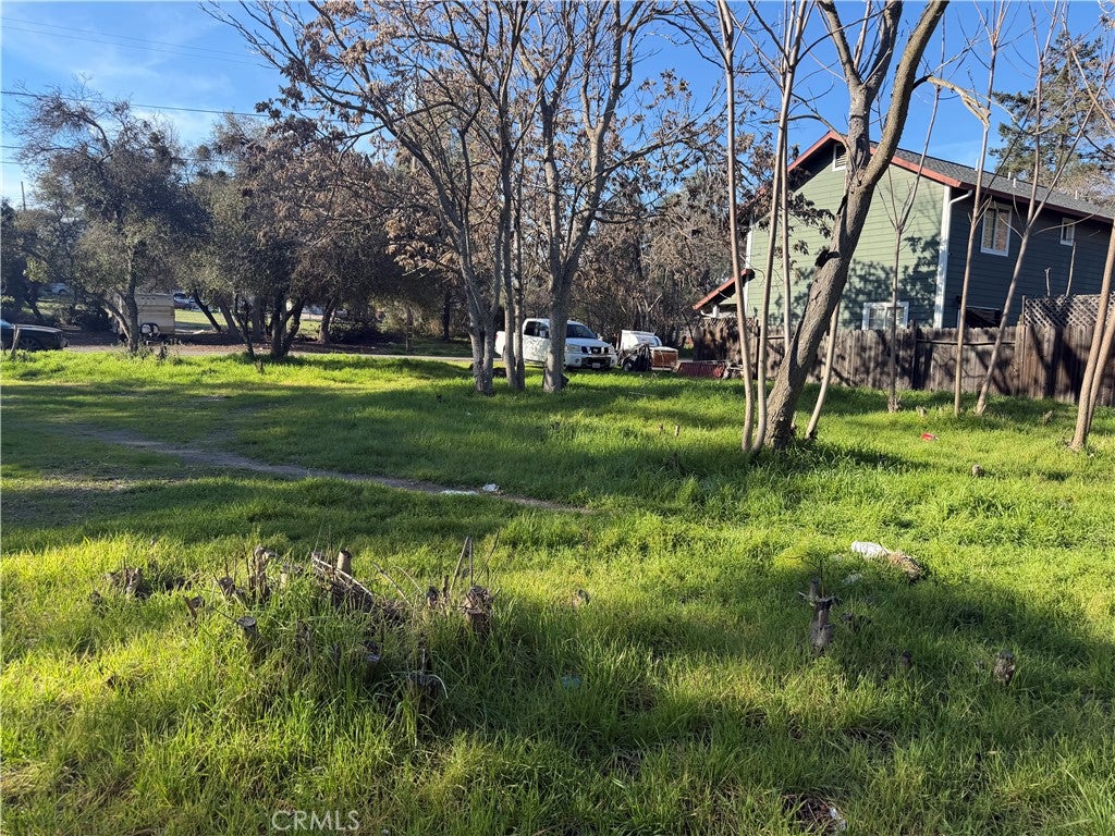 3606 Oleander