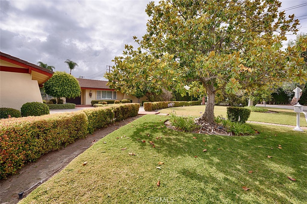 10162 Knuth Circle