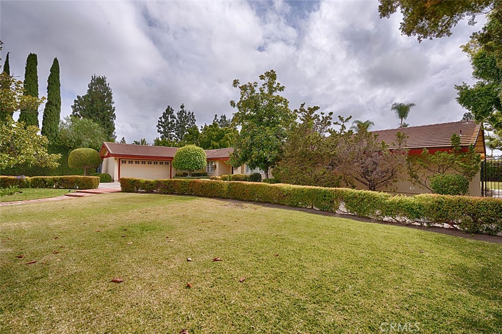 10162 Knuth Circle