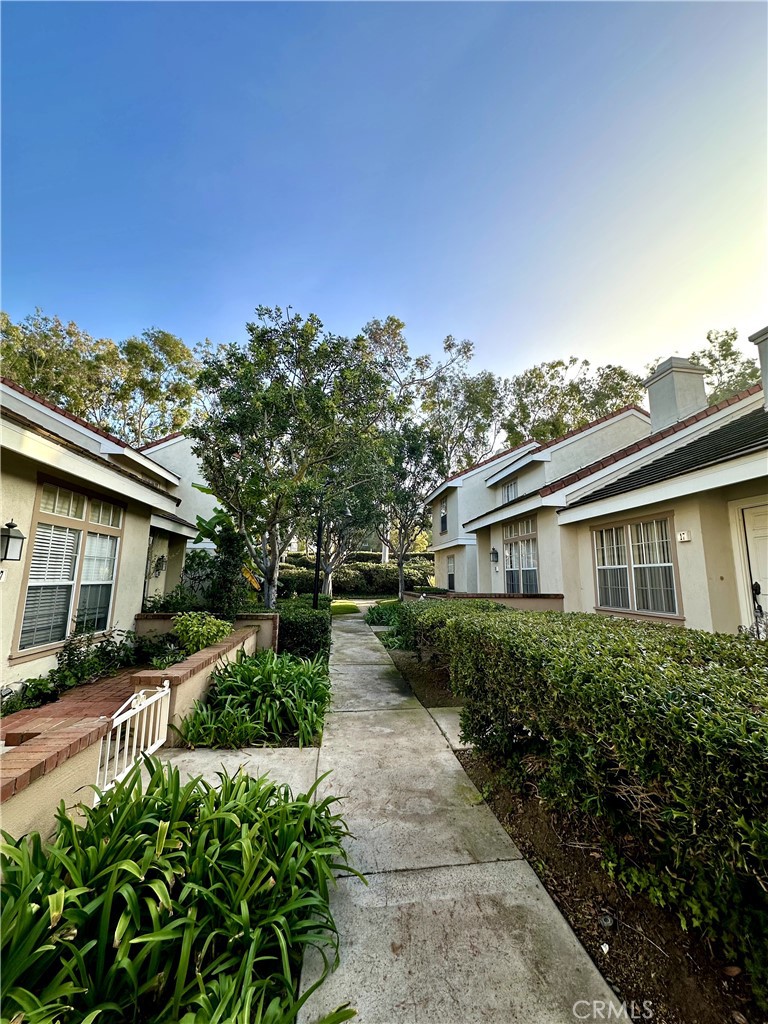 Cambridge Court (CC) - Residential Lease