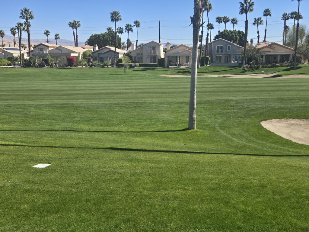 Desert Princess - Residential Lease