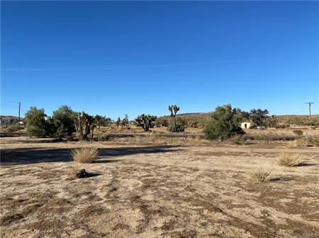57031 Buena Vista