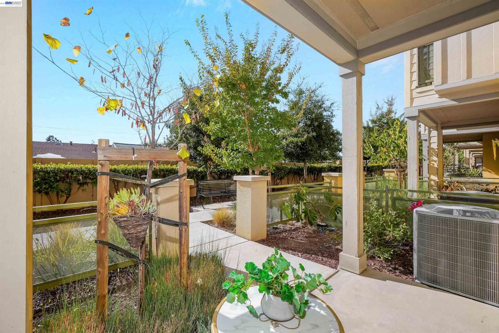 26631 Greta Ln