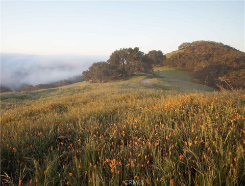 Tiny photo for 2935 Club Moss Lane, Avila Beach, CA 93424 (MLS # SC26166566)