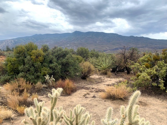 Gorgeous Mountain and Natural Vegetation Views from this mostly flat and buildable 1 acre parcel in the Alpine Village area of Mountain Center ~ 25 minutes down the mountain to Palm Desert via the scenic Pines to Palms Hwy ~ 45 minutes up to the famous art and music mountain community of Idyllwild ~ Just about an hour to the celebrated wine country of Temecula ~ About 2 hours to San Diego and Los Angeles ~ The night skies are dark, without city light pollution, allowing you to see far off galaxies, constellations, satellites and other outstanding and interesting sights cruising by in our solar system ~ An area known for hiking, mountain biking, horseback riding and many other great outdoor adventure activities ~ Come on up to the high country, get away from the extreme desert heat, enjoy occasional winter snow and unsurpassed views at a comfortable mild 4 season elevation of 4,000' ~ This parcel will need a well, septic system and power to be able to reside on site ~ recommend checking with Riverside County regarding permits needed to build or bring on a manufactured home ~