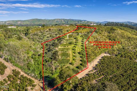 4305 Groves Place Somis CA 93066