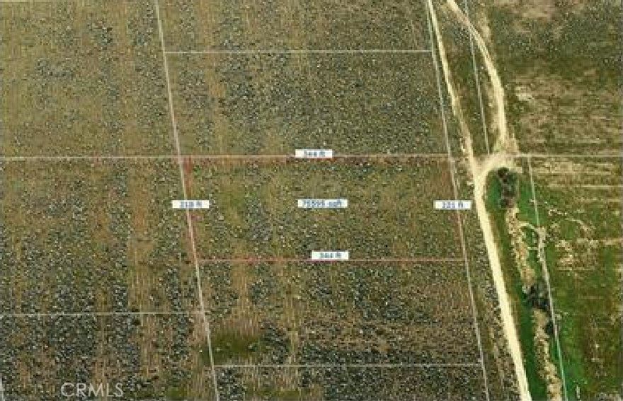 A decently sized land parcel filled with endless possibilities.  Almost 2 acres of flat usable land, that's huge and it's priced to sell!! Located in the Antelope Acres, perfect for an investor, developer or anyone looking for land to build their dream home.  Don't miss out on this golden opportunity, get it before it's gone!  Buyer to do any and all due diligence!!  Note: Listing agent is related to the seller.