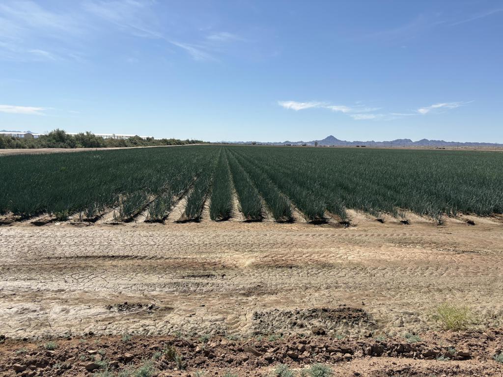 187 Water Toll Acres On Ben Hulse Highway