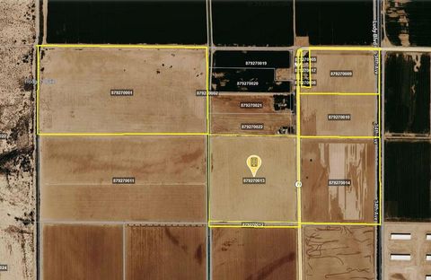 Photo of 187 Water Toll Acres On Ben Hulse Highway, Blythe, CA 92225 (MLS # 219145361DA)