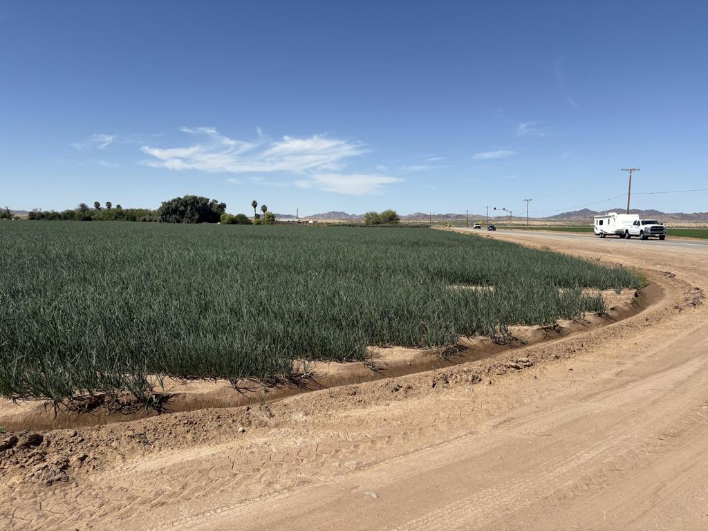 187 Water Toll Acres On Ben Hulse Highway