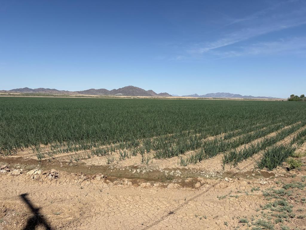 187 Water Toll Acres On Ben Hulse Highway