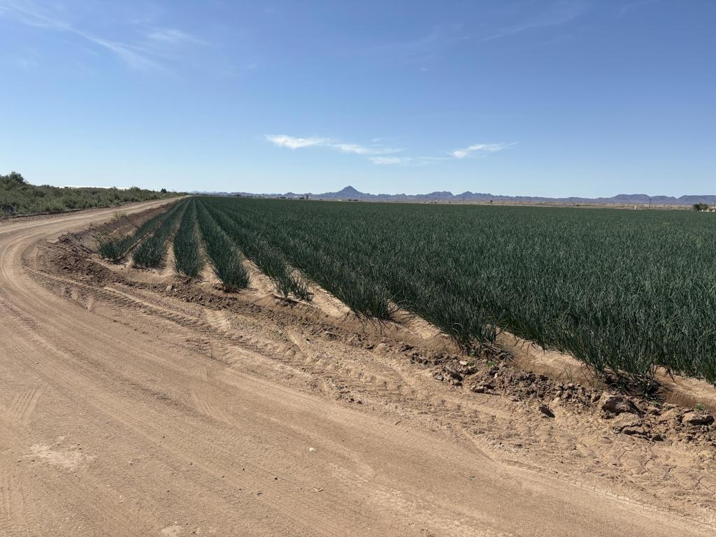 187 Water Toll Acres On Ben Hulse Highway