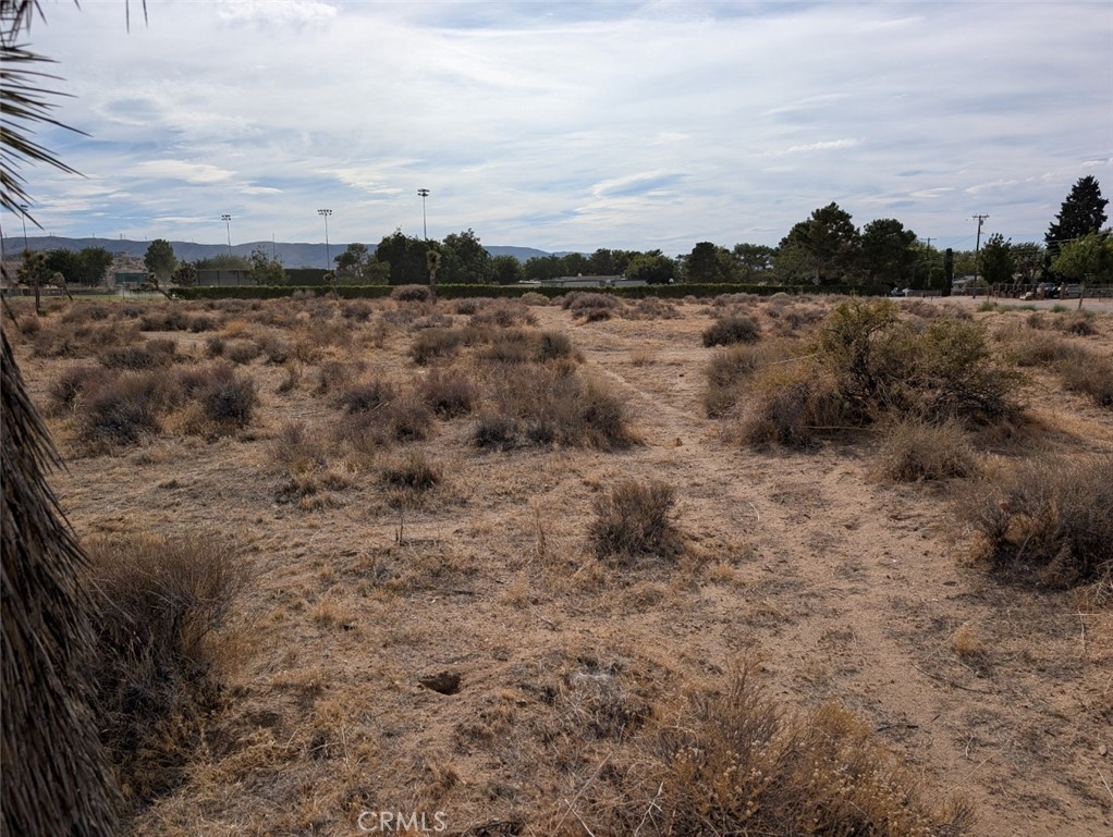 Make time to see this great deal on a rare large semi-rural development opportunity in prime West Lancaster. Almost 10 acres that per the City of Lancaster can be developed with homes of a minimum of 20,000 sq ft. Take advantage of all the benefits of working with Lancaster rather than LA County. The land is in walking distance to Valley View Elementary and Paraclete, and is in close proximity to area shopping restaurants and a Dog Park. Seller is motivated so don't miss out.