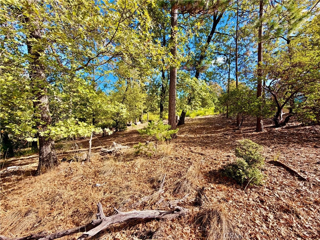 9093 Fox Drive
