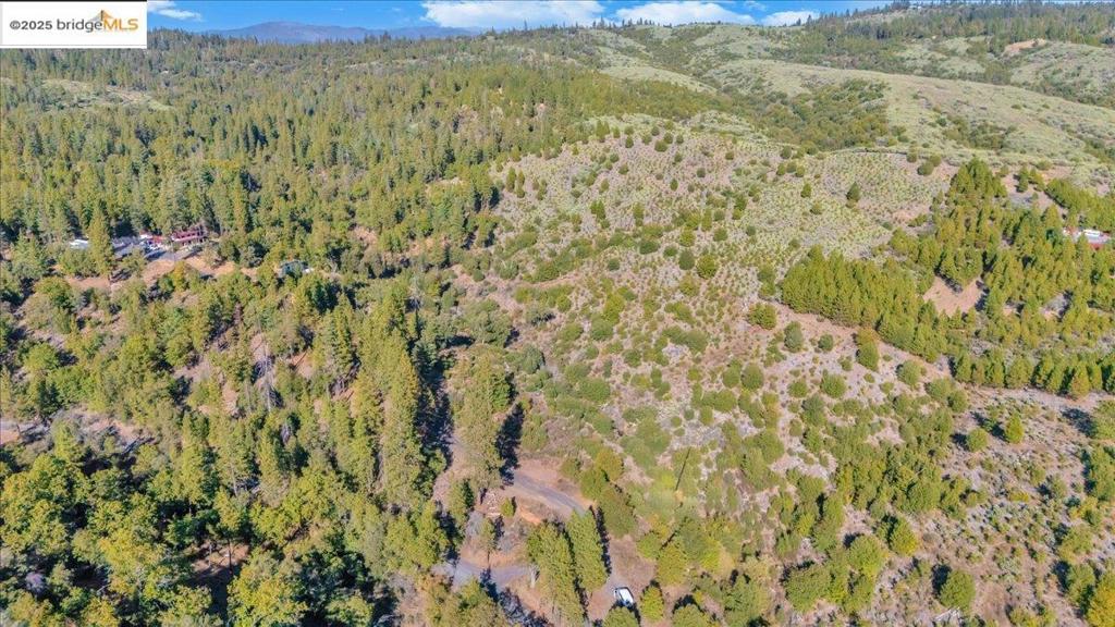 0000 Jackass Creek Rd