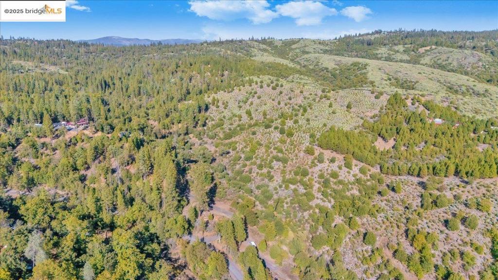 0000 Jackass Creek Rd