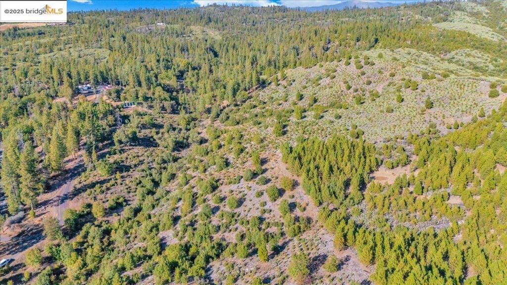 0000 Jackass Creek Rd