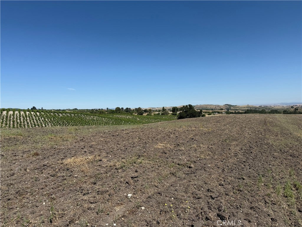 Paso Robles, California, 93446, United States, 3 Bedrooms Bedrooms, ,2 BathroomsBathrooms,Residential,Active,2045624