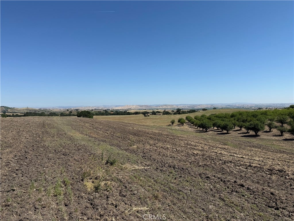 Paso Robles, California, 93446, United States, 3 Bedrooms Bedrooms, ,2 BathroomsBathrooms,Residential,Active,2045624
