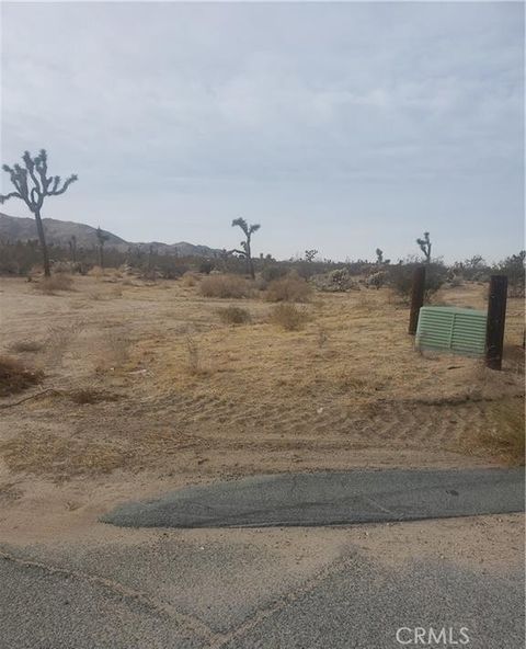 Photo of 29 Palms Dr, Joshua Tree, CA 92252 (MLS # JT26012772)
