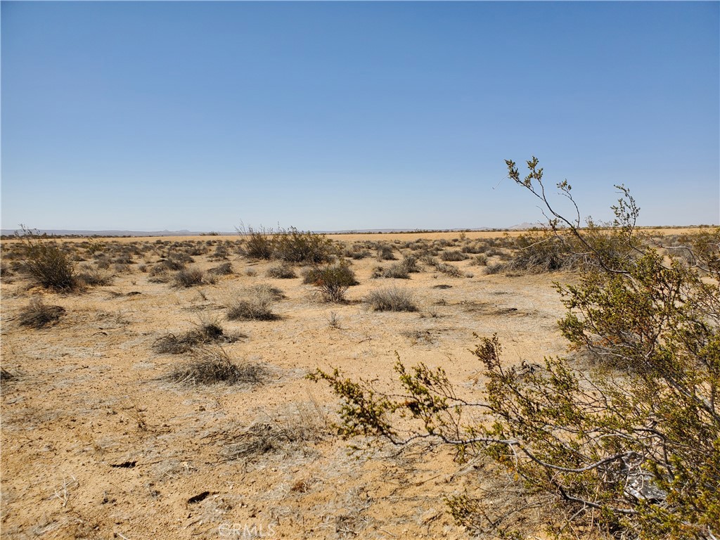 2 AC Dover Avenue