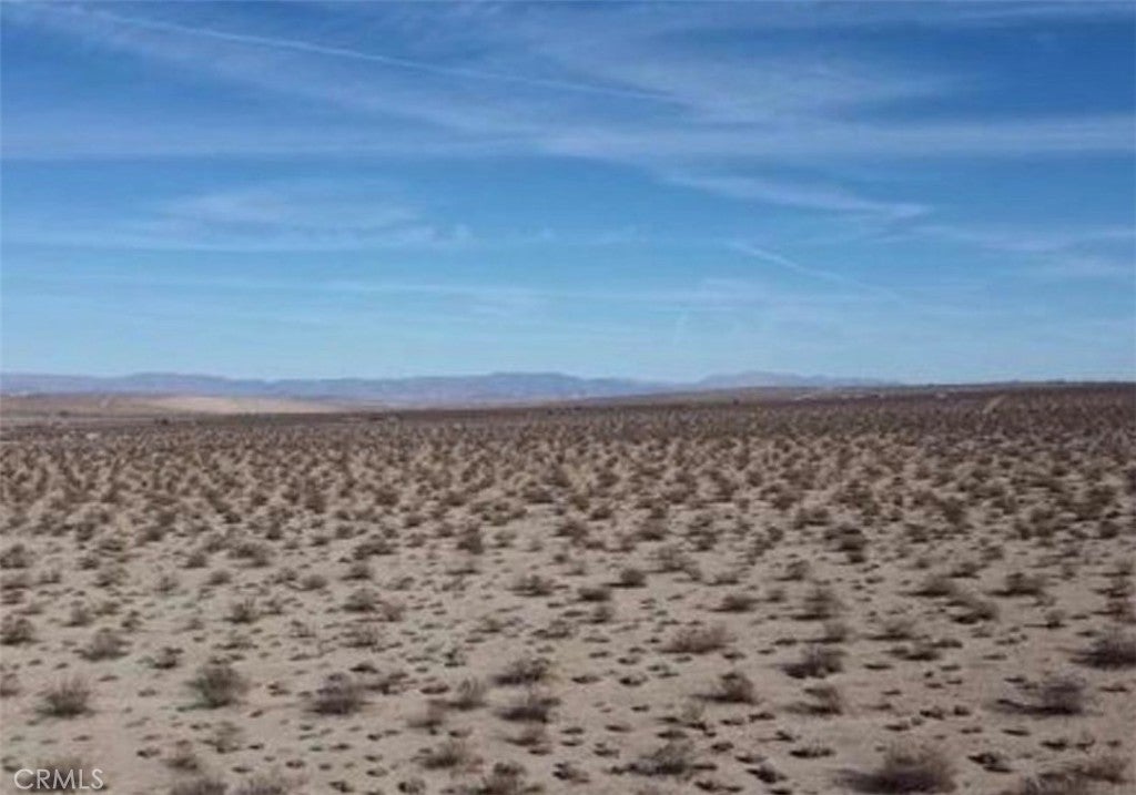 0 29 Palms