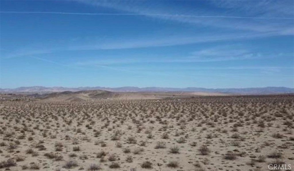 0 29 Palms