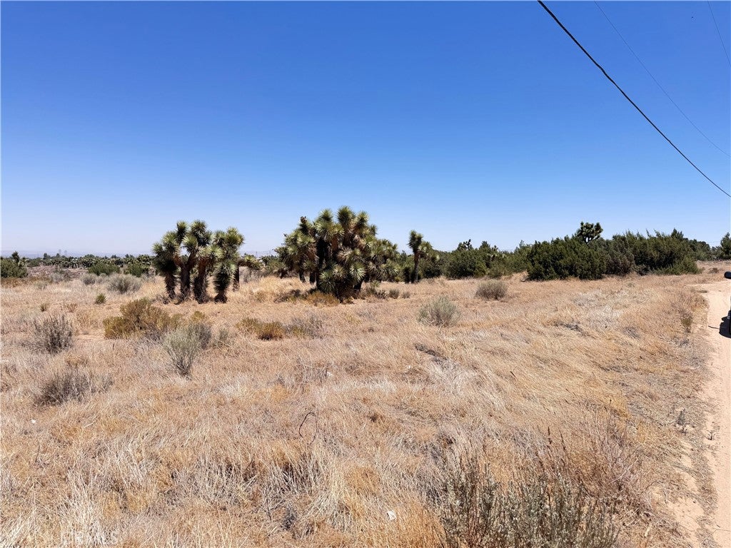 6196 Sunnyslope Road