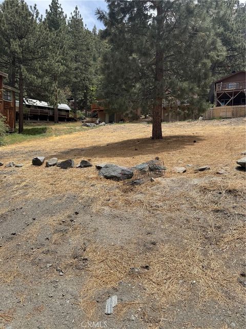 999 Buckthorn Road Wrightwood CA 92397
