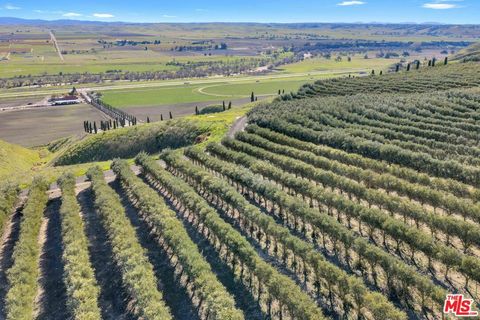 Tiny photo for 1990 E Highway 46, Shandon, CA 93461 (MLS # 25626523)