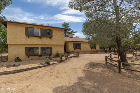 Photo of 2222 Tortuga Street, Acton, CA 93510 (MLS # 226001547)