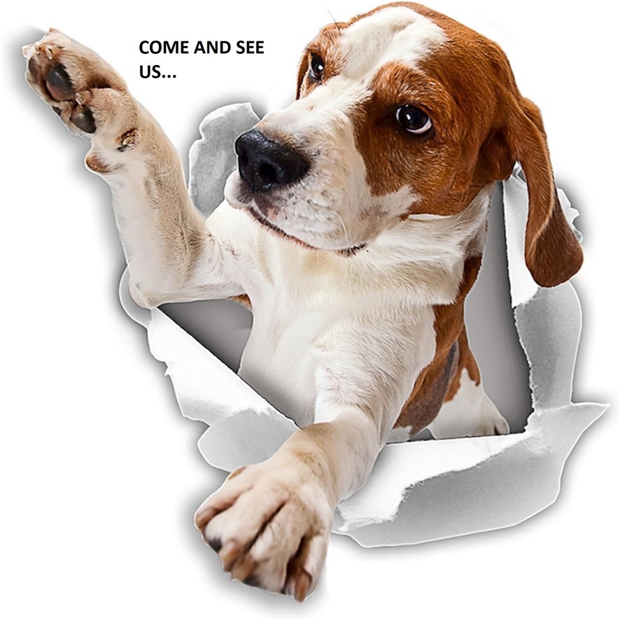 Wildwood (323) - Residential