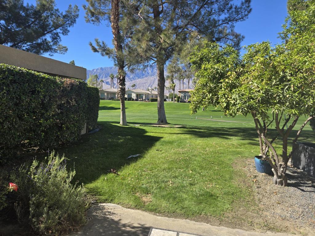 Desert Princess - Residential