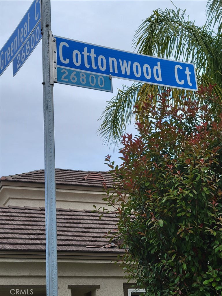 26807 Cottonwood Court