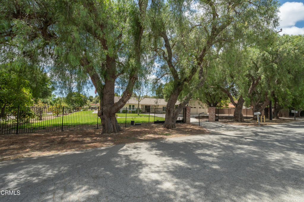 4111 Sand Canyon Road
