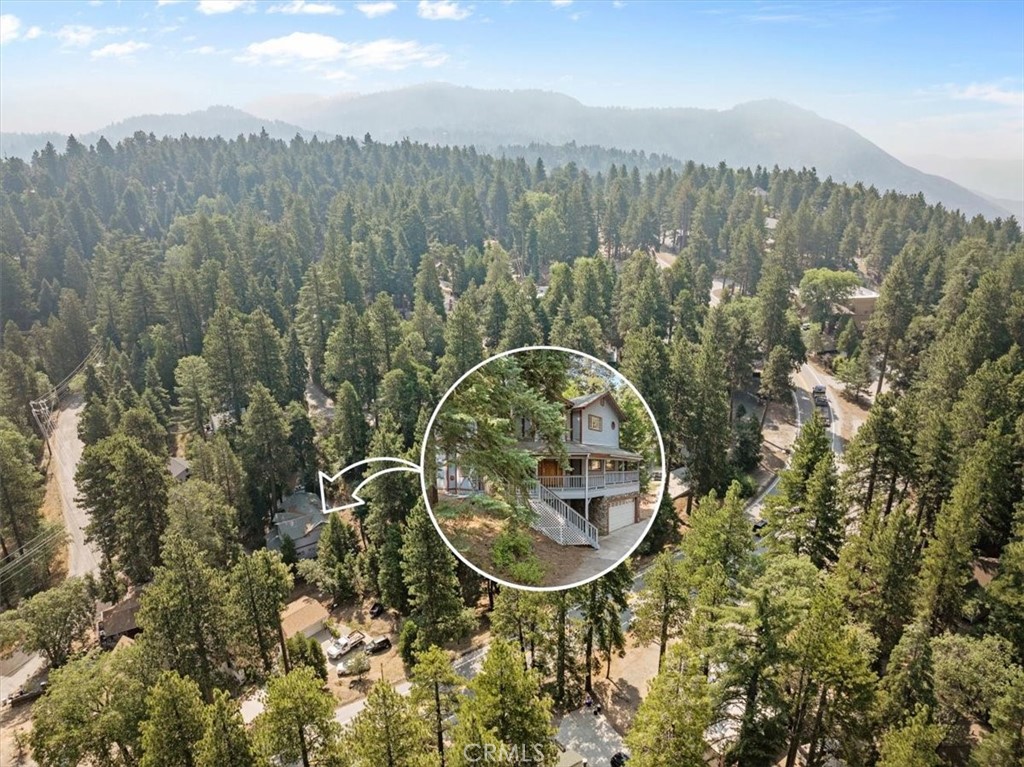 31521 Silver Spruce Drive