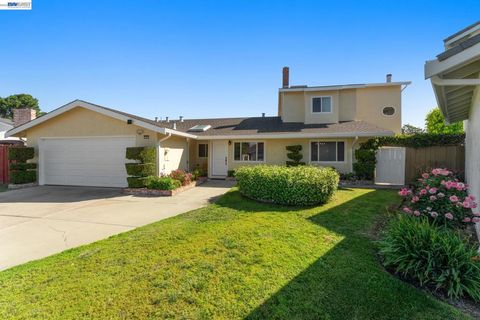 Photo of 32317 Pegasus Court Ct, Union City, CA 94587 (MLS # 41133128)