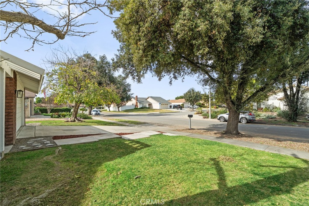 1038 Sandalwood Avenue