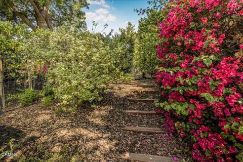 Tiny photo for 317 El Tuaca Court, Camarillo, CA 93010 (MLS # V1-36147)