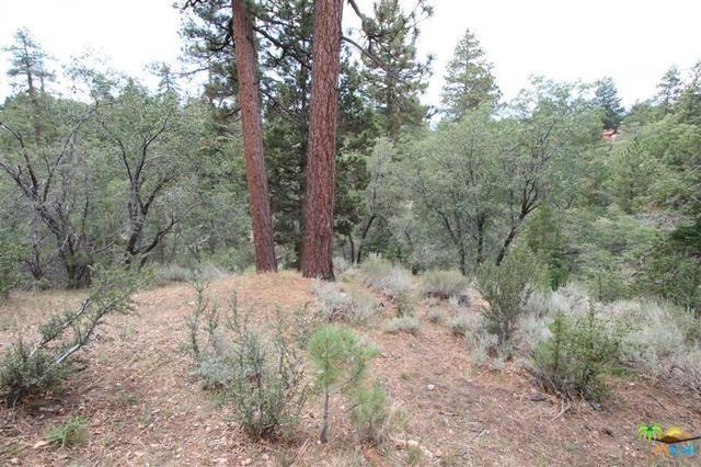 Not Applicable-1 - Residential Lease