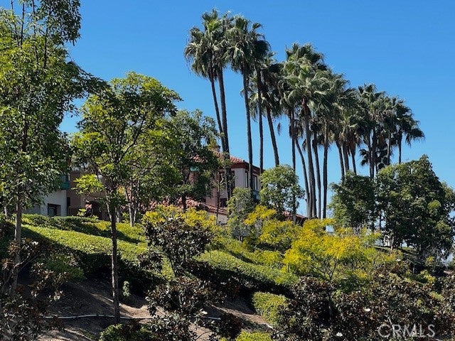 118 Villa Point