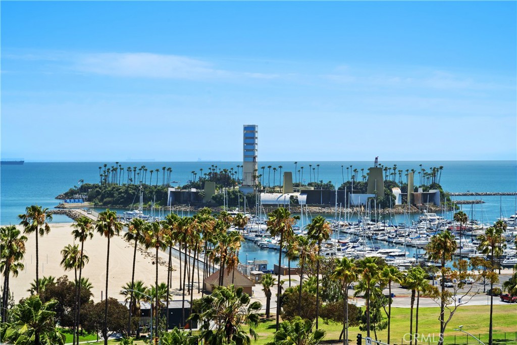 700 E Ocean Boulevard 1207