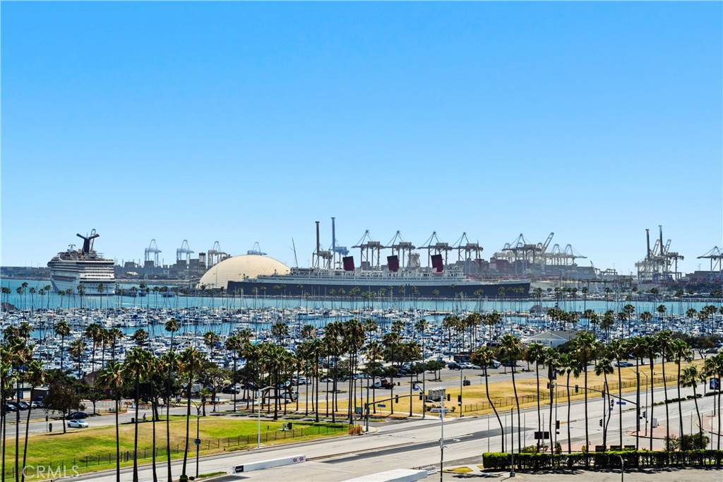 700 E Ocean Boulevard 1207