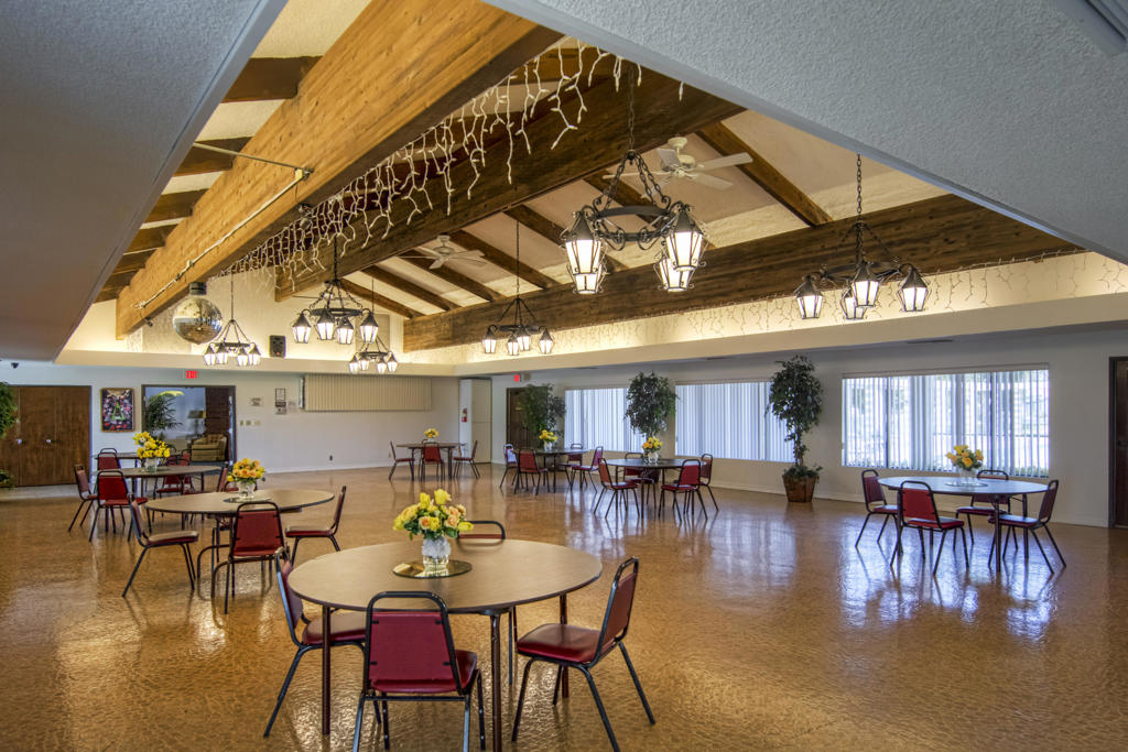 The Canyon - Manufactured In Park