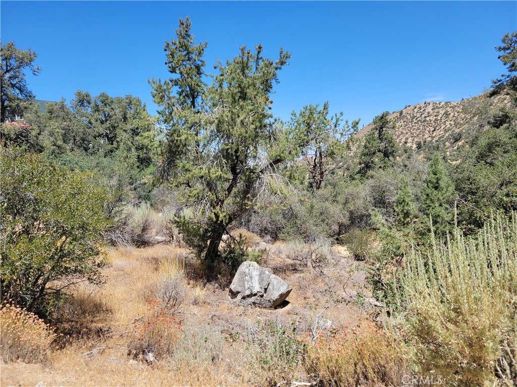 0 Old Oak Springs Valley Road