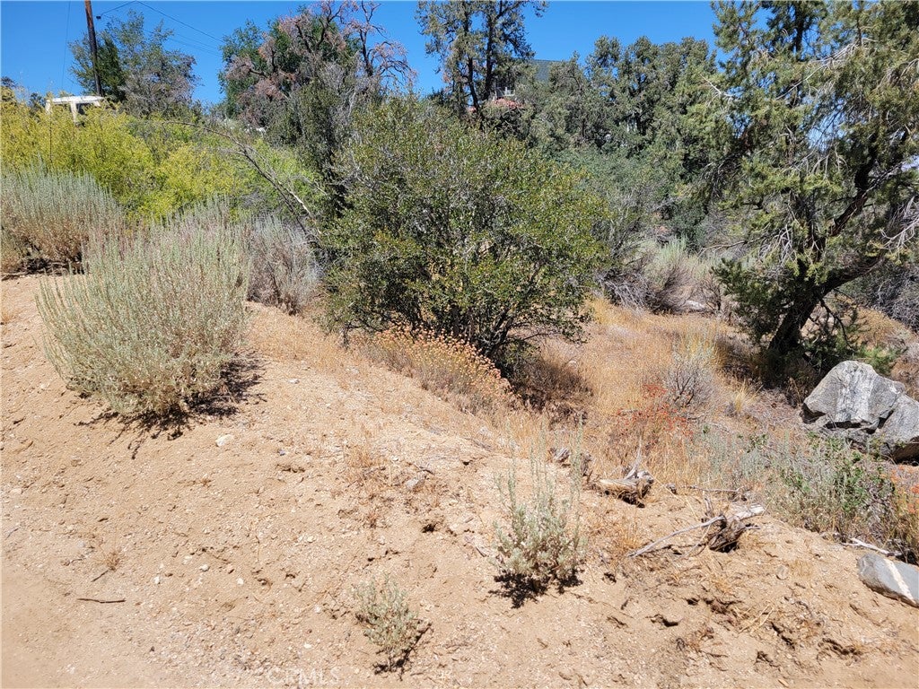 0 Old Oak Springs Valley Road