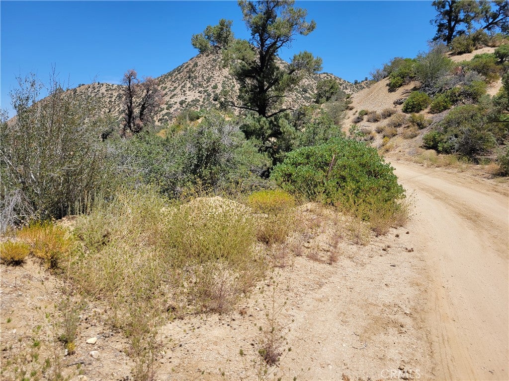 0 Old Oak Springs Valley Road