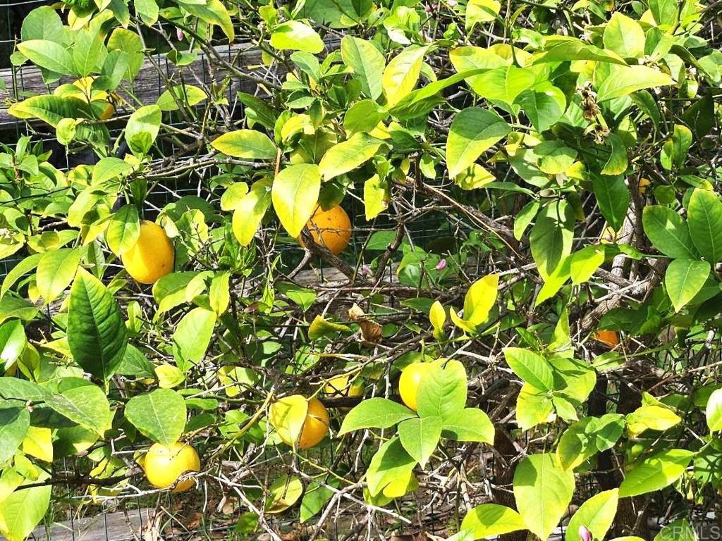 8975 Lawrence Welk Drive 424