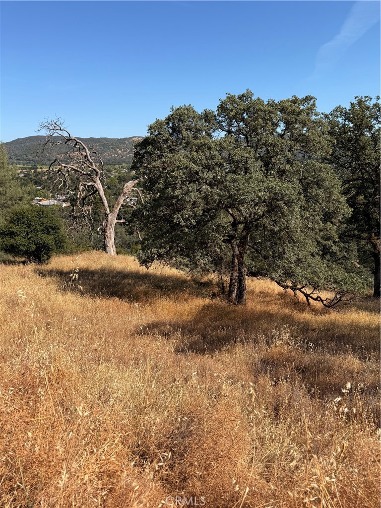 12657 Mountain View Drive