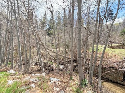 Photo of 29949 Hook Creek Rd, Cedar Glen, CA 92321 (MLS # IG26072591)